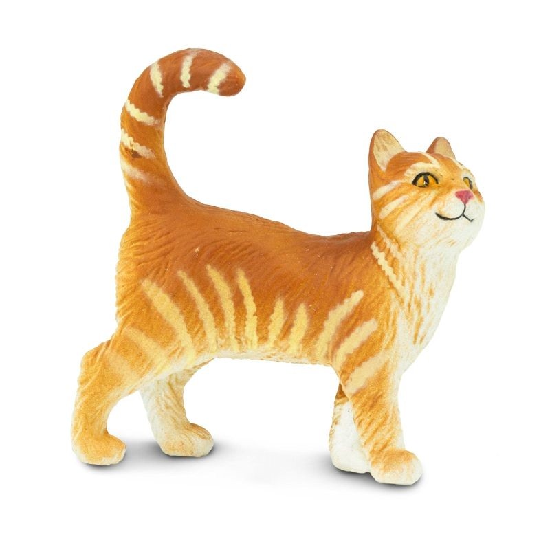 safari-przyjacielski-kot-tabby-polkabubu-5.jpg
