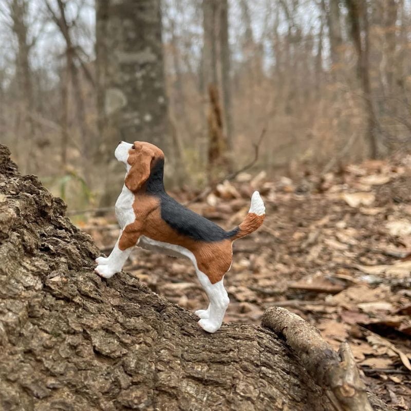safari-Figurka-Psa-Beagle-safari-polkabubu-3.jpg