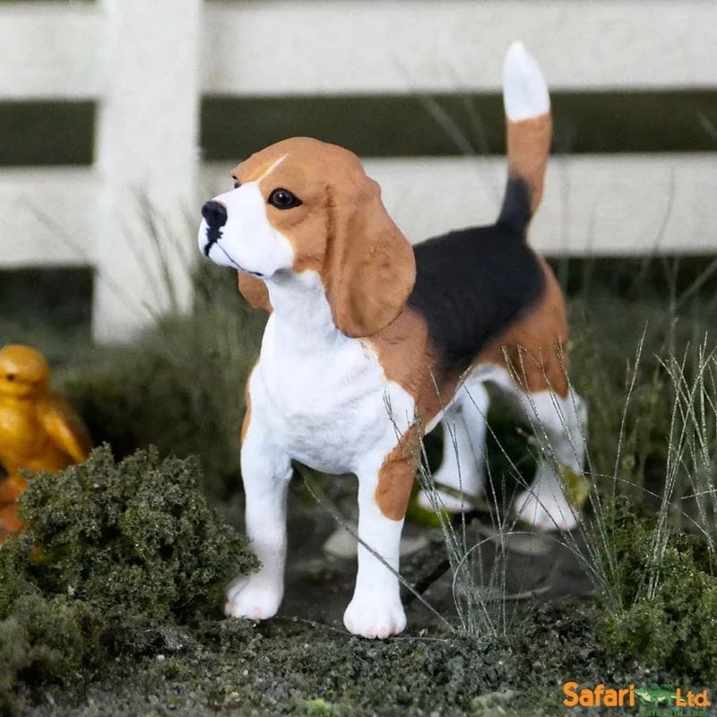 safari-Figurka-Psa-Beagle-safari-polkabubu-8.jpg