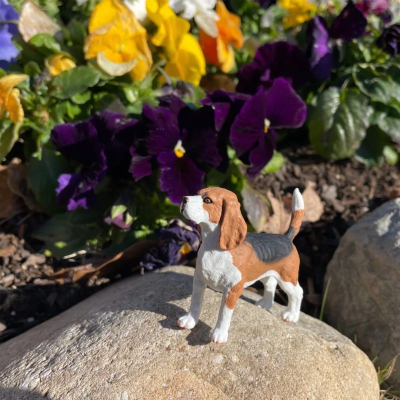 safari-Figurka-Psa-Beagle-safari-polkabubu-9.jpg