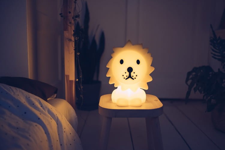 MrMaria-Lion-First-Lamp-MIDI-DB30LN-polkabubu-8.jpg