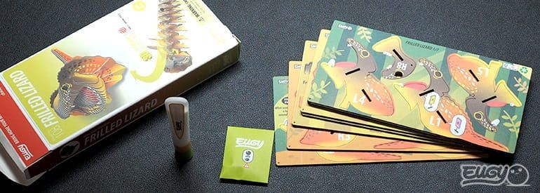 eugy-jaszczurka-108-polkabubu-12.jpg