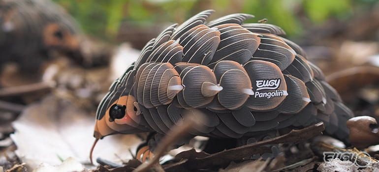 eugy-luskowiec-110-polkabubu-6.jpg