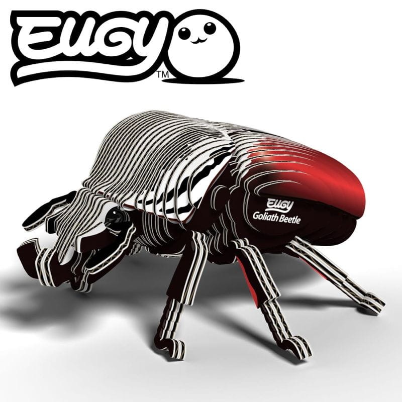 eugy-chrzaszcz-goliat-polkabubu-1.jpg