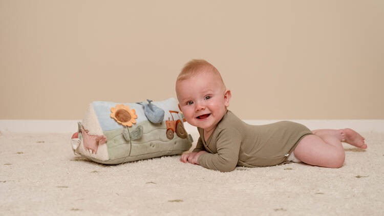Little-Dutch-Trojkat-edukacyjny-Little-Farm-LD8823-polkabubu-8.jpg