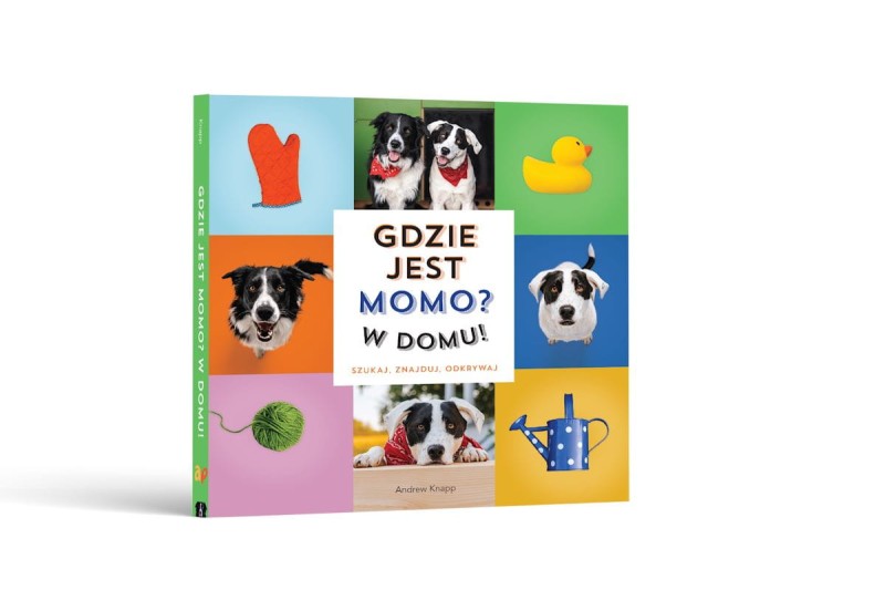 api-papi-gdzie-jest-momo-w-domu-polkabubu-1.jpg