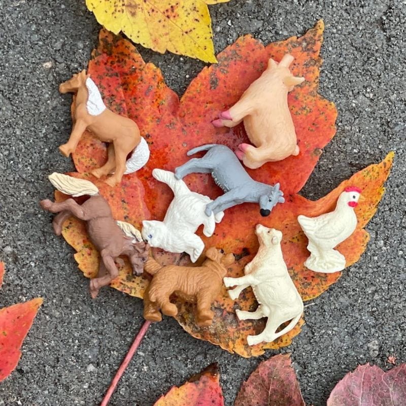 safari-mini-zwierzatka-wiejskie-figuri-polkabubu-3.jpg