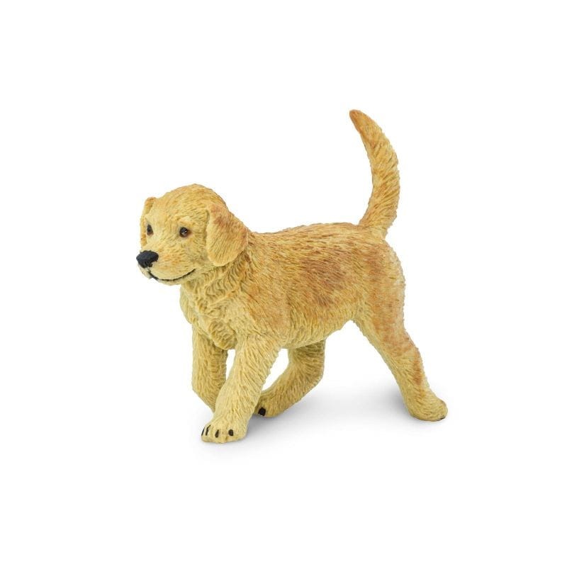 safari-golden-retriever-pies-polkabubu-1.jpg