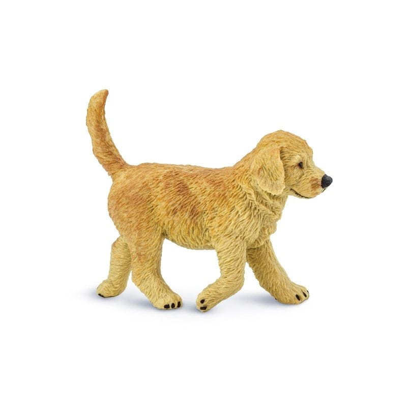 safari-golden-retriever-pies-polkabubu-2.jpg