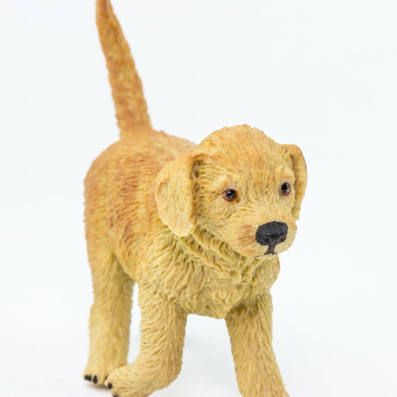 safari-golden-retriever-pies-polkabubu-3.jpg