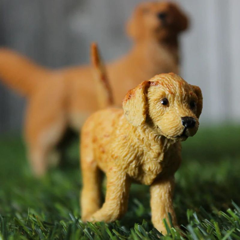 safari-golden-retriever-pies-polkabubu-5.jpg