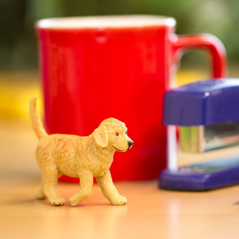 safari-golden-retriever-pies-polkabubu-6.jpg