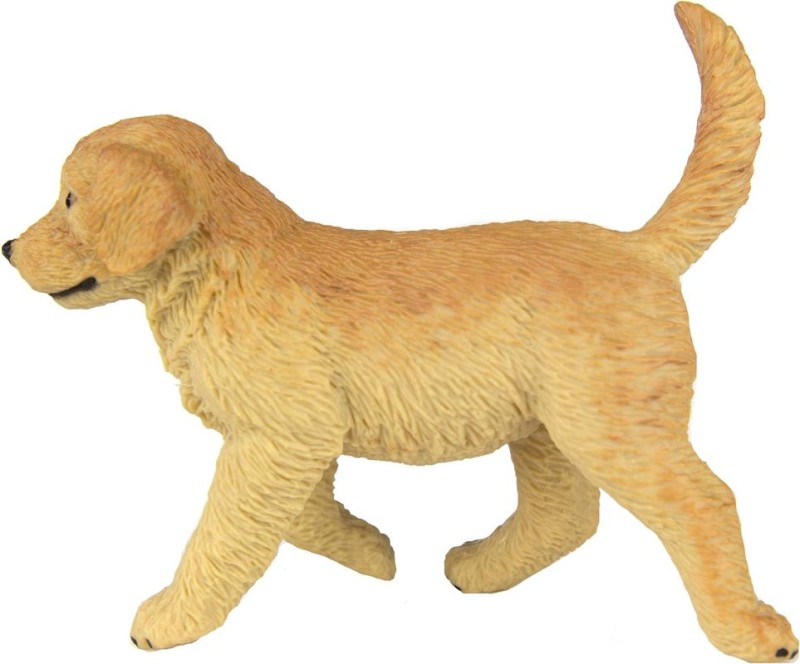 safari-golden-retriever-pies-polkabubu-8.jpg