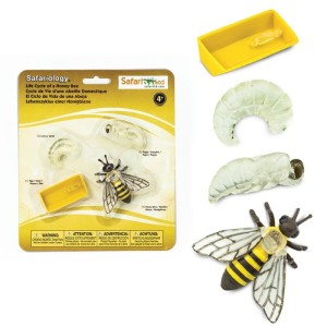 Zestaw Figurek Cykl życia Pszczoły 3 lata+ Safari Ltd. S622716