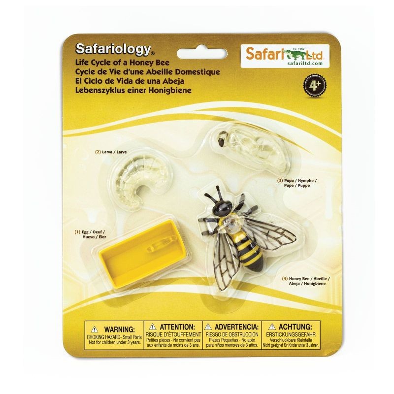 safari-cykl-zycia-pszczoly-polkabubu-7.jpg