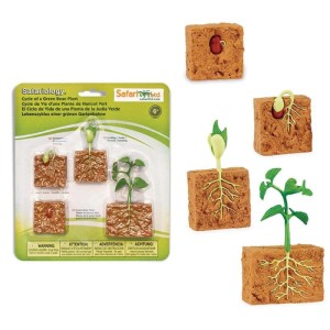 Zestaw Figurek Cykl Rozwoju Fasoli 3 lata+ Safari Ltd. S662416