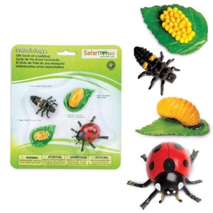 Zestaw Figurek Cykl Życia Biedronki 3 lata+ Safari Ltd. S662716