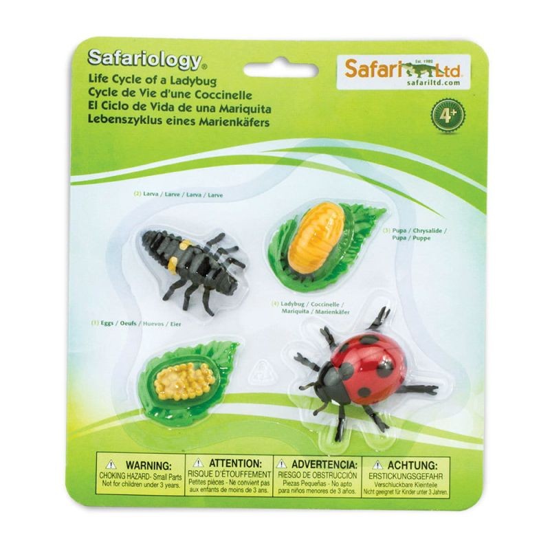 safari-cykl-zycia-biedronki-zestaw-figurek-polkabubu-3.jpg
