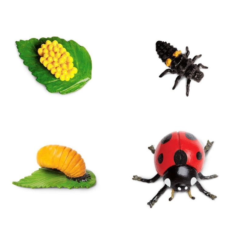 safari-cykl-zycia-biedronki-zestaw-figurek-polkabubu-7.jpg