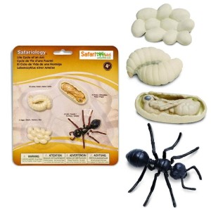 Zestaw Figurek Cykl Życia Mrówki 3 lata+ Safari Ltd. S663916