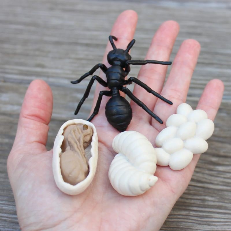 safari-cykl-zycia-biedronki-figurki-polkabubu-2.jpg