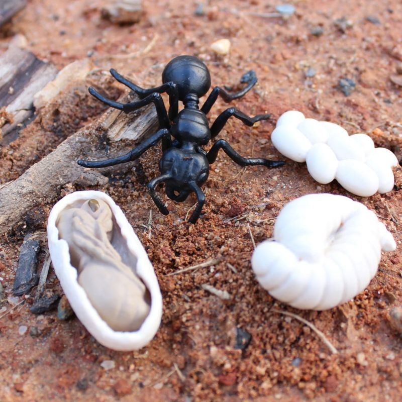 safari-cykl-zycia-biedronki-figurki-polkabubu-3.jpg