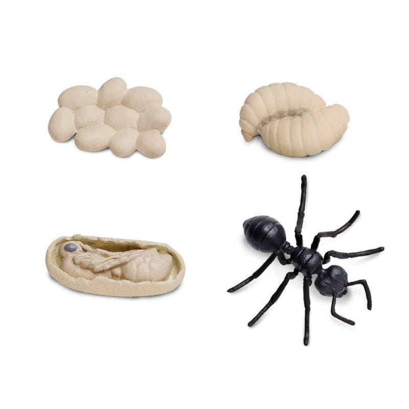 safari-cykl-zycia-biedronki-figurki-polkabubu-6.jpg