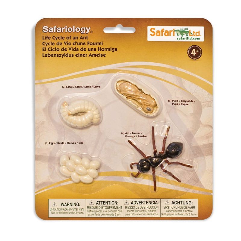 safari-cykl-zycia-biedronki-figurki-polkabubu-7.jpg