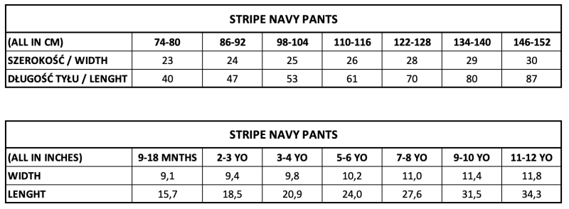 STRIPE NAVY PANTS.png