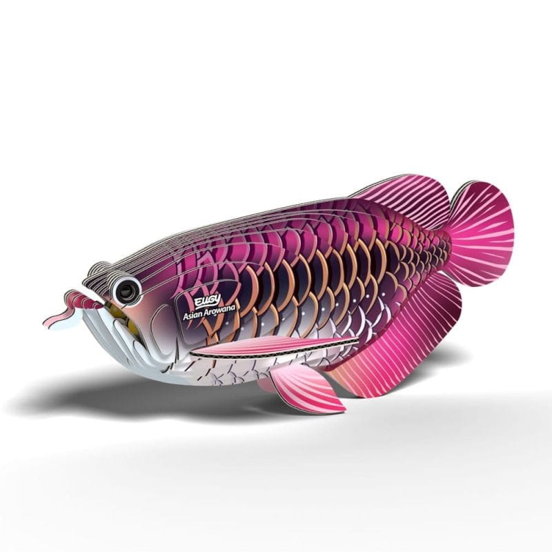 eugy-Asian_Arowana_118-polkabubu-2.jpg
