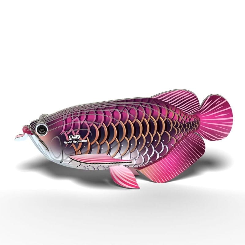 eugy-Asian_Arowana_118-polkabubu-4.jpg