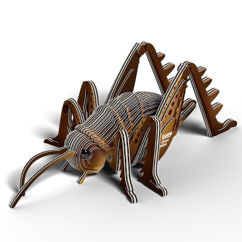 eugy-Giant_Weta_polkabubu-2.jpg