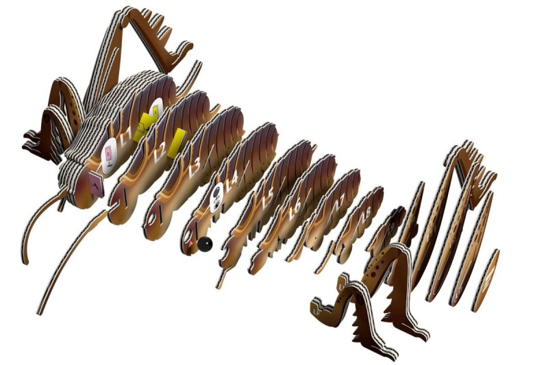 eugy-Giant_Weta_polkabubu-4.jpg