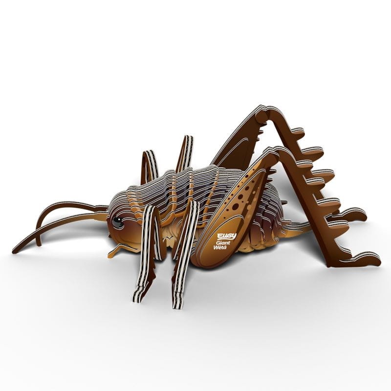eugy-Giant_Weta_polkabubu-5.jpg