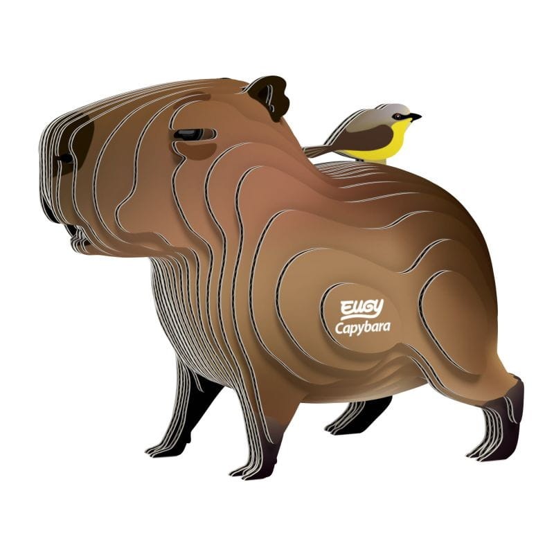 eugy-Capybara_polkabubu-2.jpg
