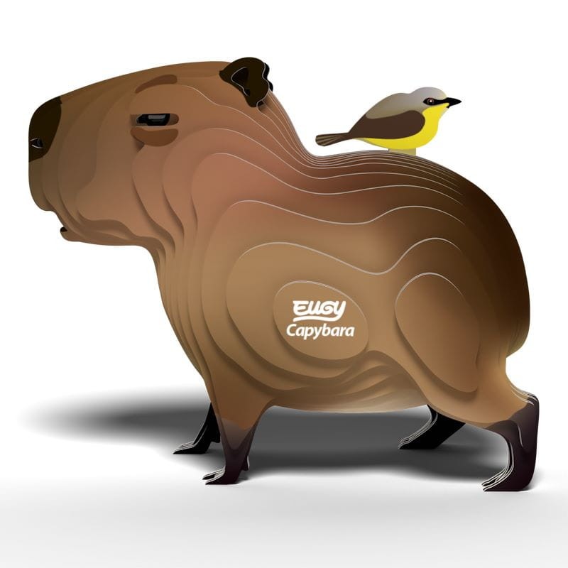 eugy-Capybara_polkabubu-4.jpg