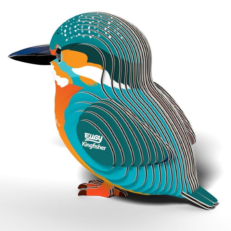 eugy-Kingfisher_polkabubu-5.jpg