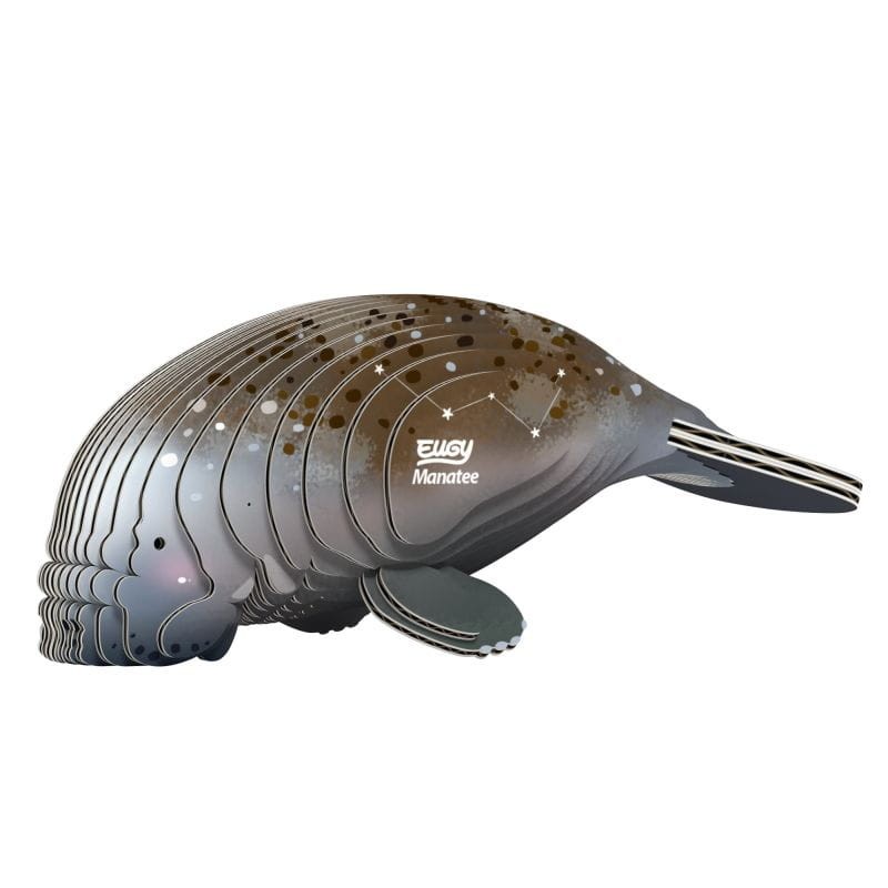 eugy-Manatee_polkabubu-2.jpg